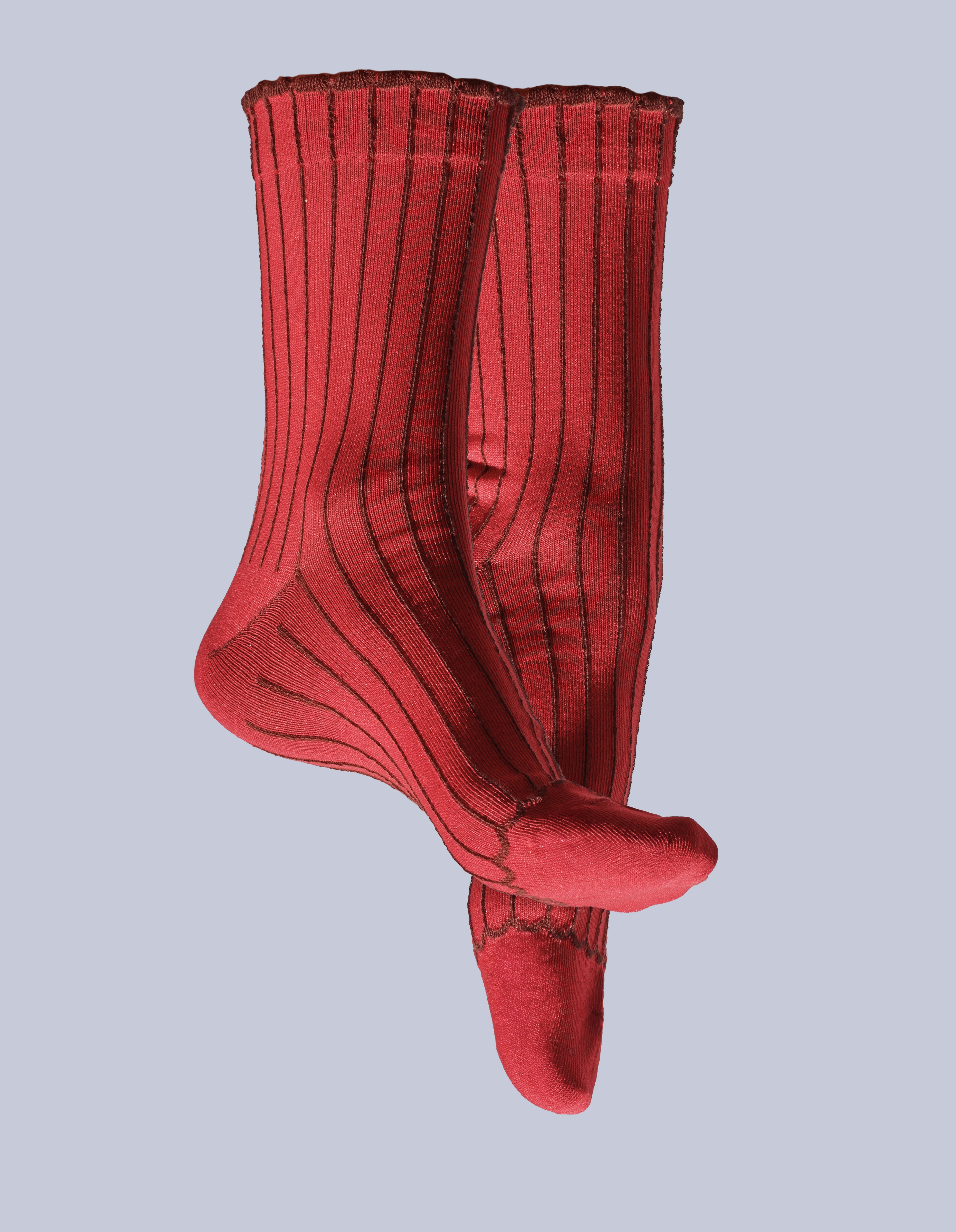 French bull_iolo_Ligne