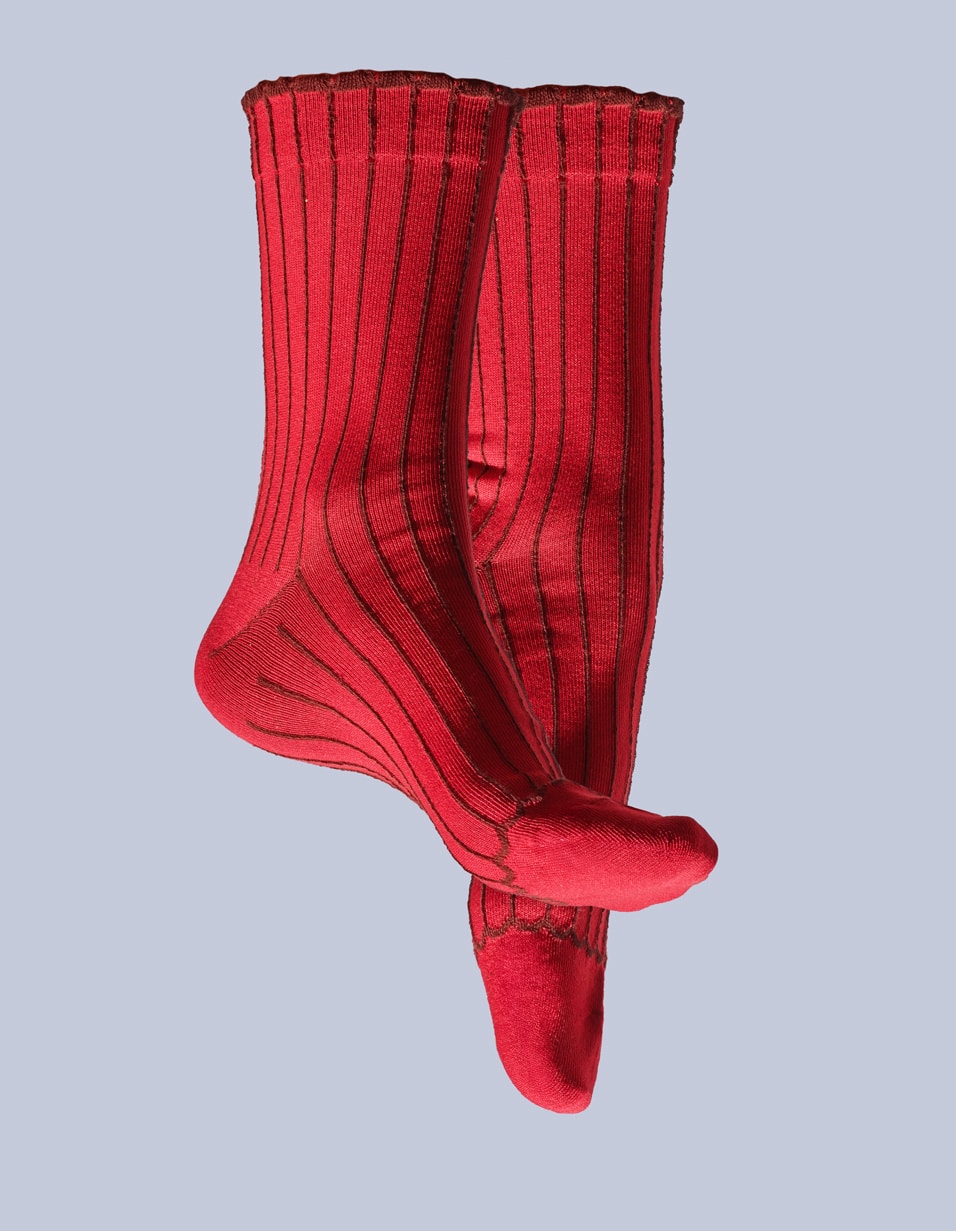 French-bull_iolo_Ligne_1